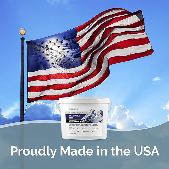 SMELLS BEGONE 1-Gallon Odor Absorber Gel