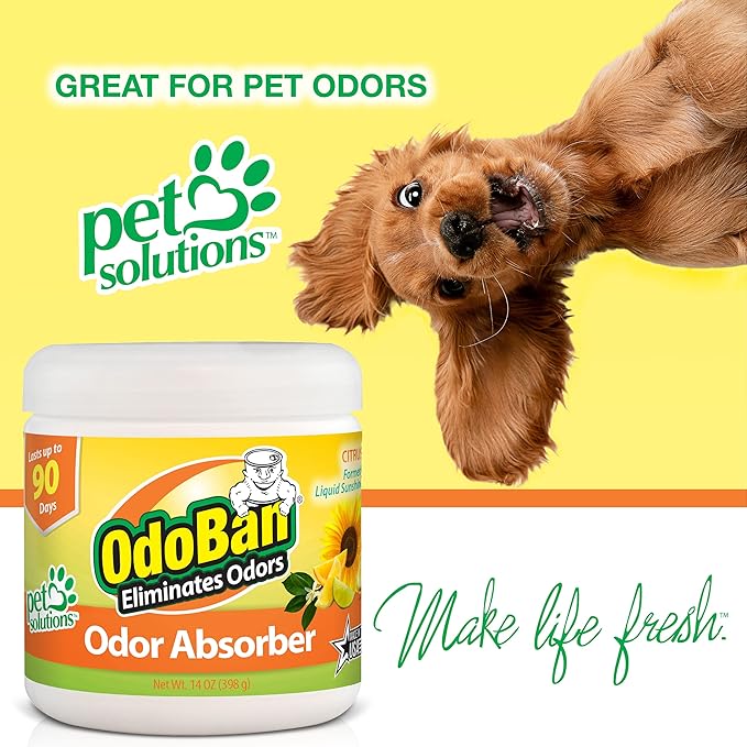 OdoBan Solid Odor Absorber Eliminator (9-Pack)